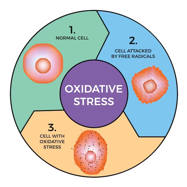 Oxidative stress